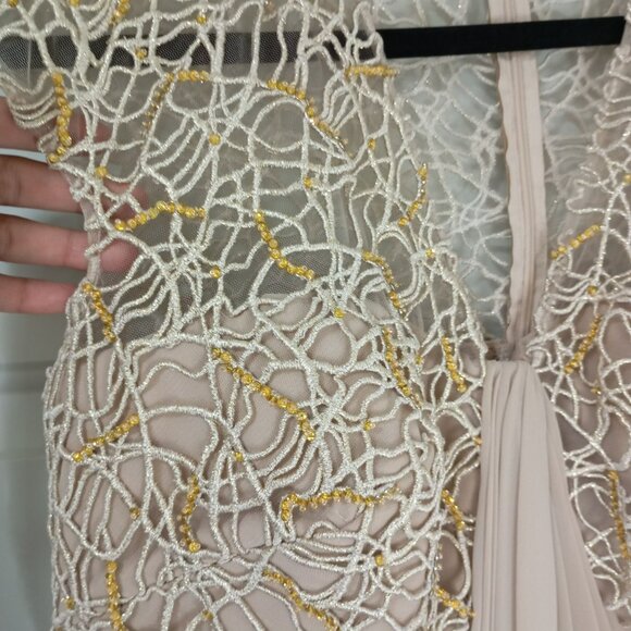 Tadashi Shoji Evening Gown Gold Beaded Lace Cap Sleeves Pleated Front Sz 14 - Picture 6 of 12